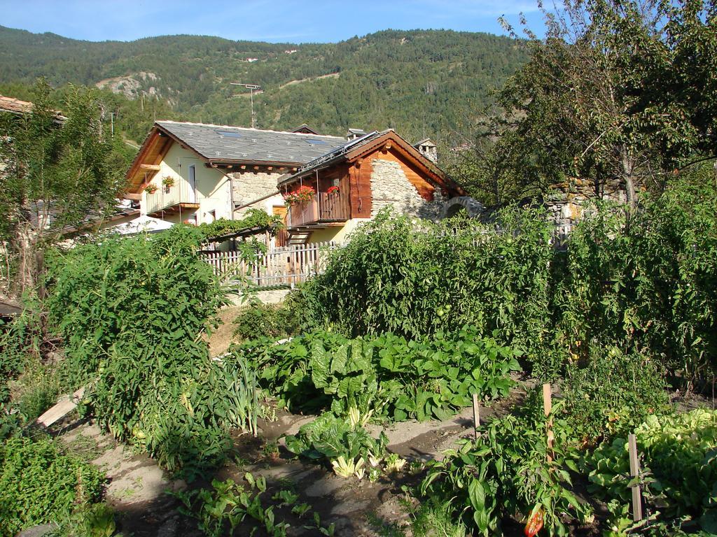 Bed & Breakfast Affittacamere Grand Saint Bernard *
