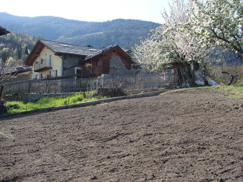Affittacamere Grand Saint Bernard Gignod