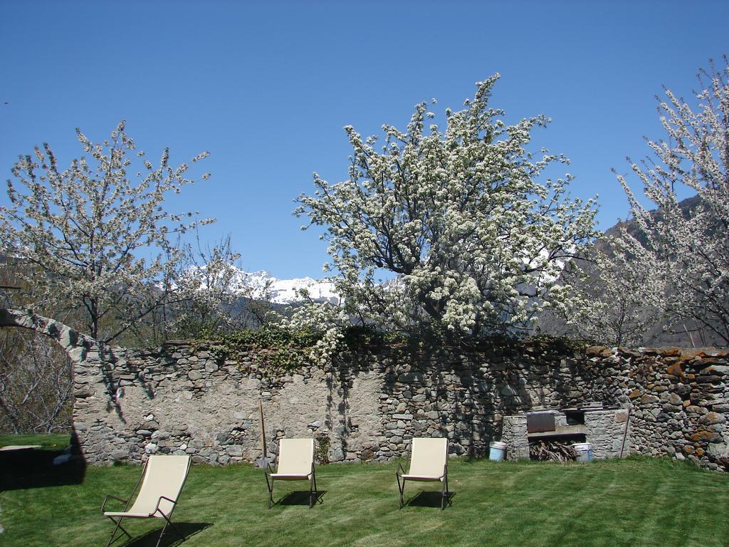 Bed & Breakfast Affittacamere Grand Saint Bernard