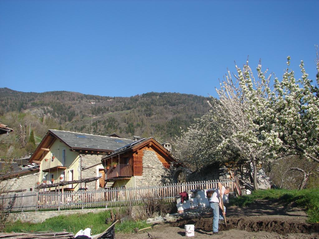 Bed & Breakfast Affittacamere Grand Saint Bernard Gignod